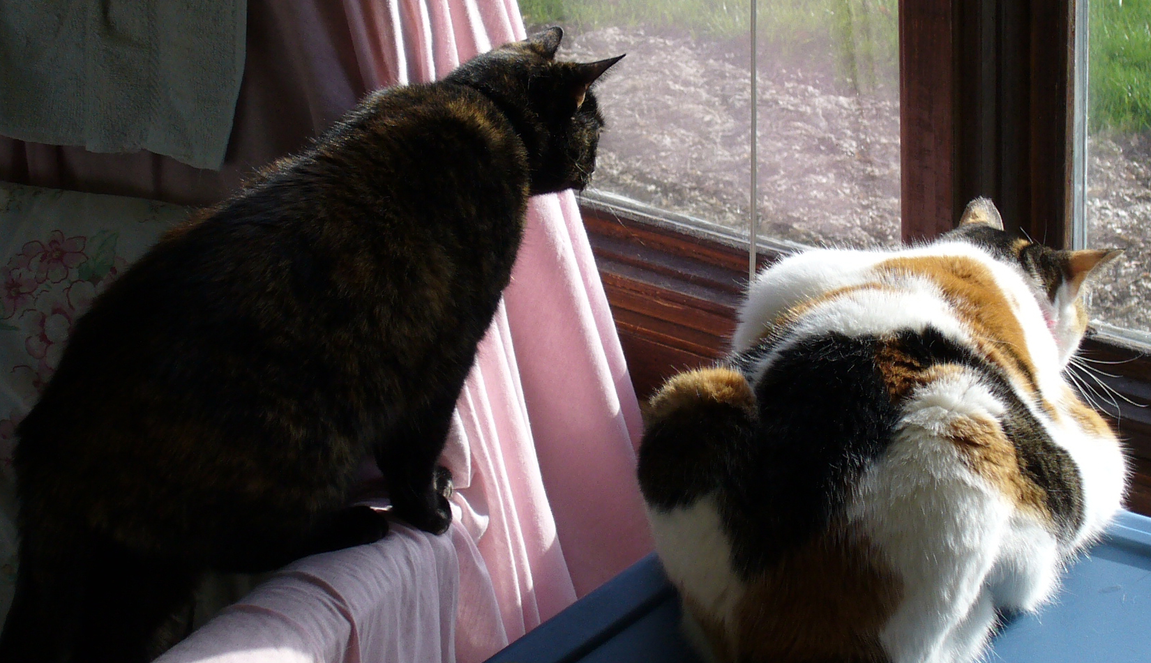 Calliope and Athena