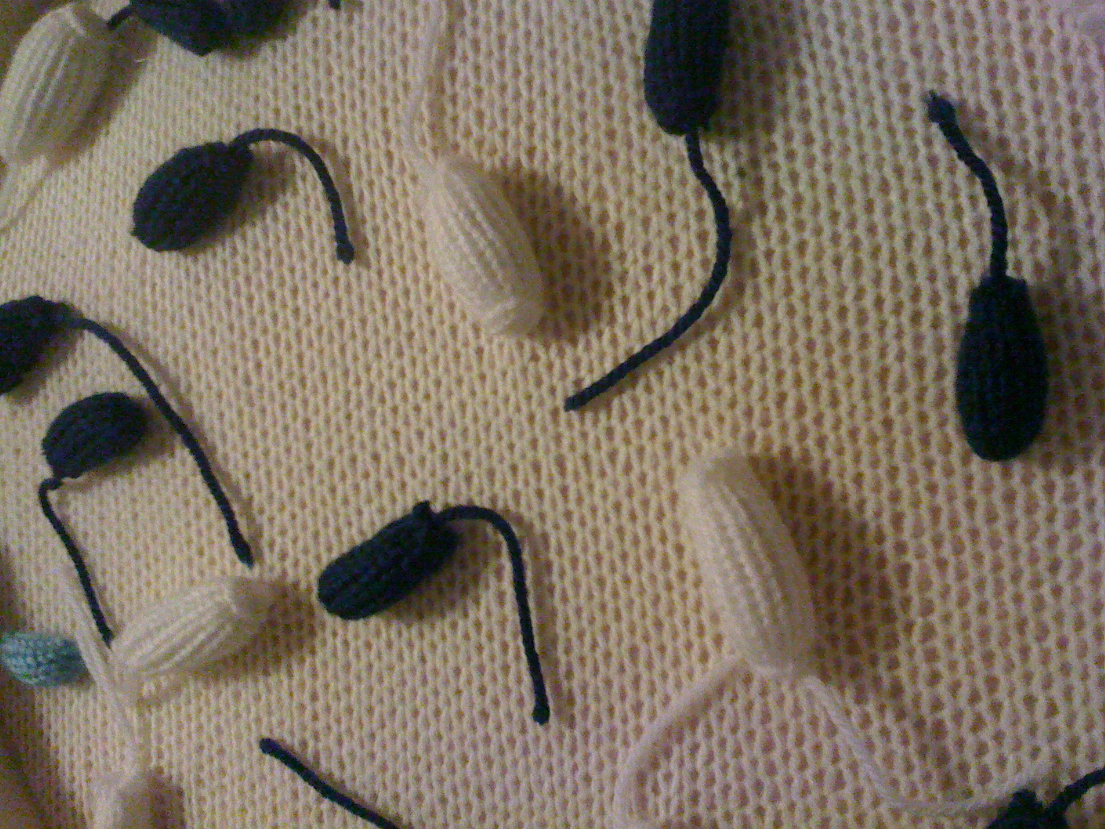 Close up Knitted Bacteria knitted bacteria
