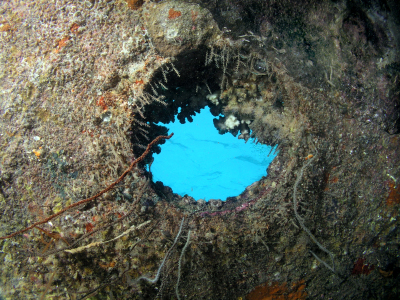 Shipwreck porthole.
