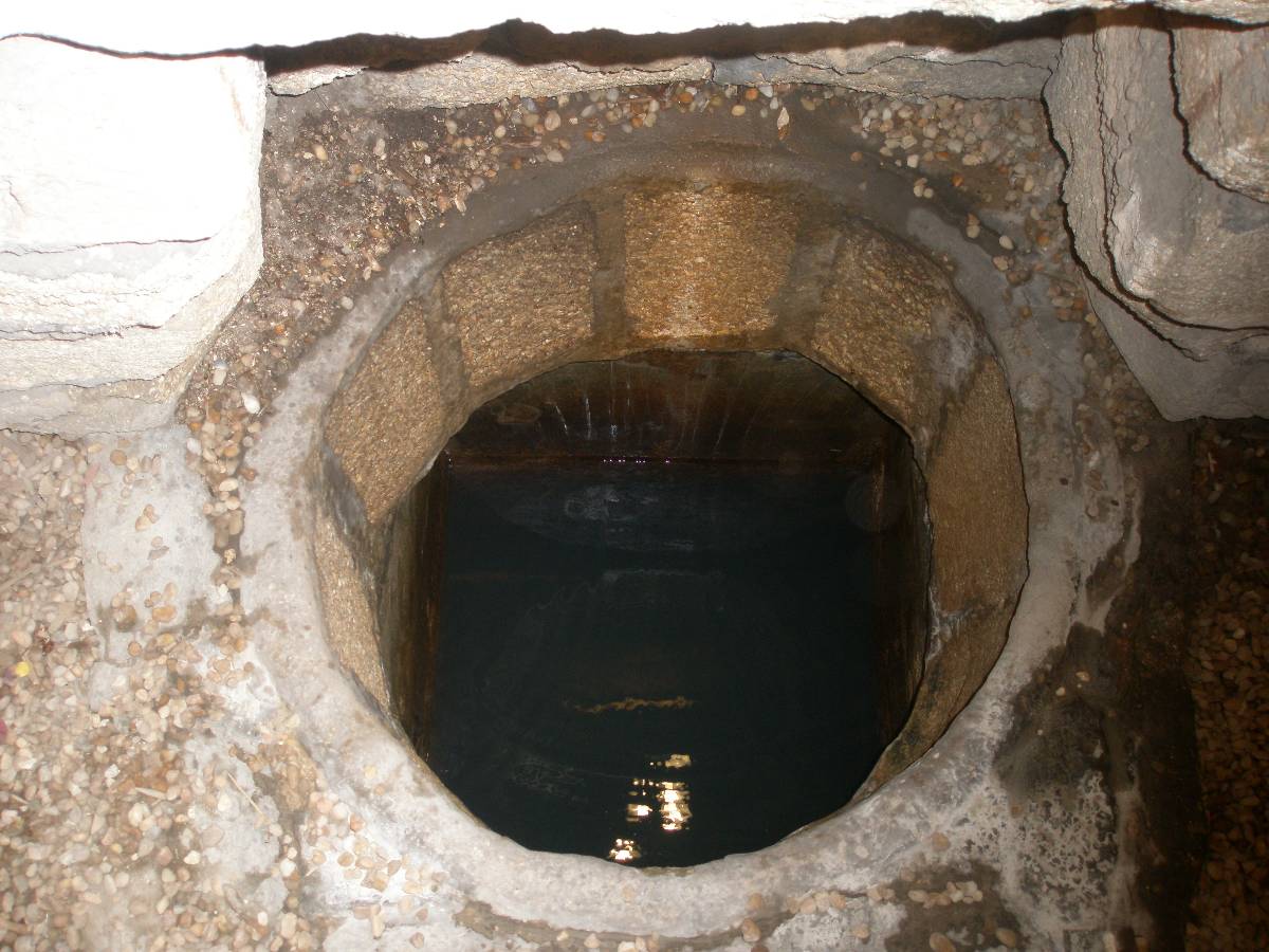 youth well