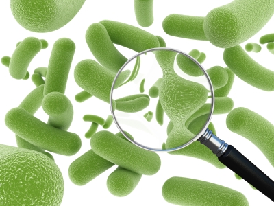 Bacterial Populations