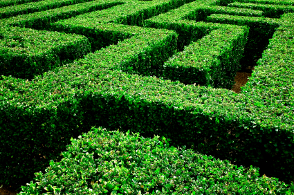 A maze photo.