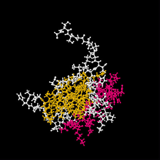 RNA binding protein