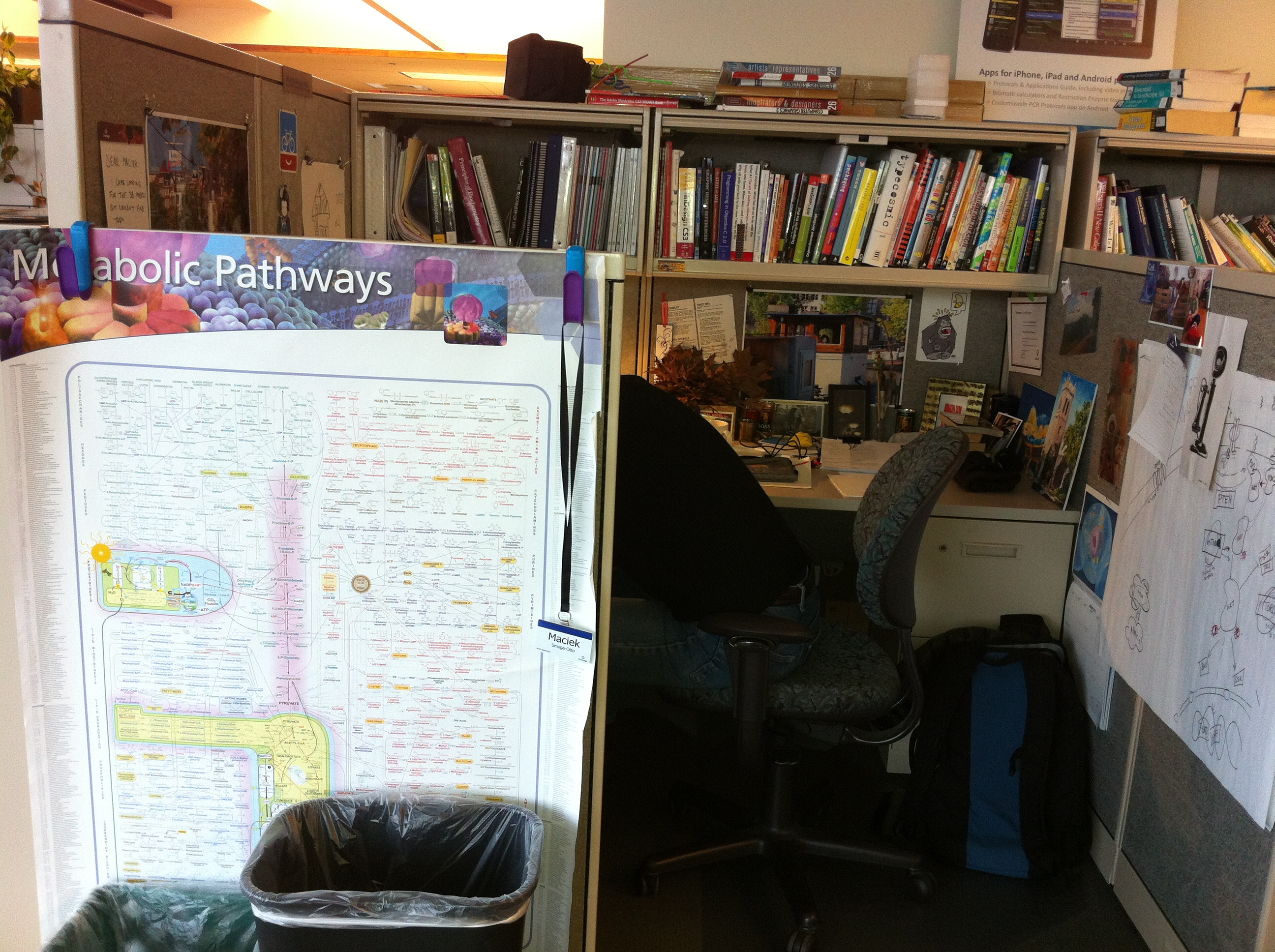 Maciek working at his desk.