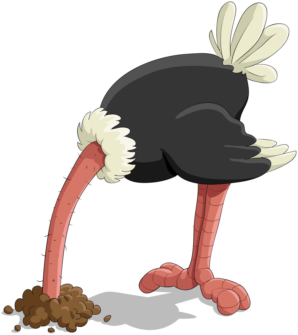 ostrich