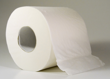 A roll of toilet paper