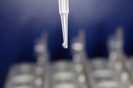 Determining DNA Yield and Purity