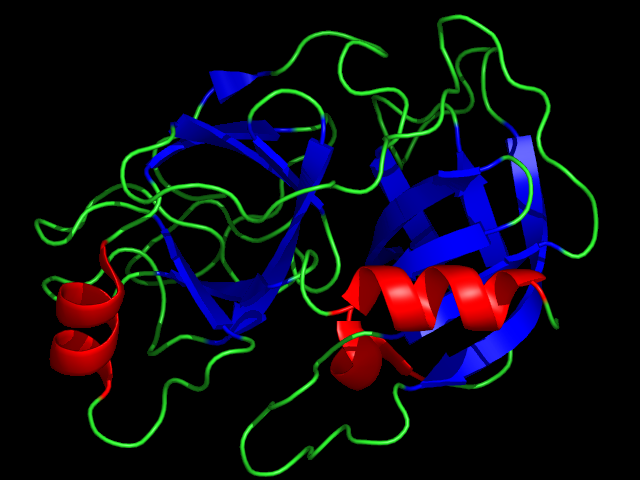 trypsin