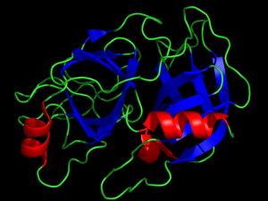 Can predigestion with trypisin (ribbon structure shown) improve protein digests for mass spectrometry analysis?