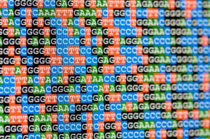 DNA Sequence