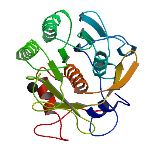 Proteinase K Ribbon Structure ImageSource=RCSB PDB; StructureID=4b5l; DOI=http://dx.doi.org/10.2210/pdb4b5l/pdb;