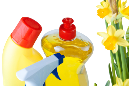 Spring Cleaning Products