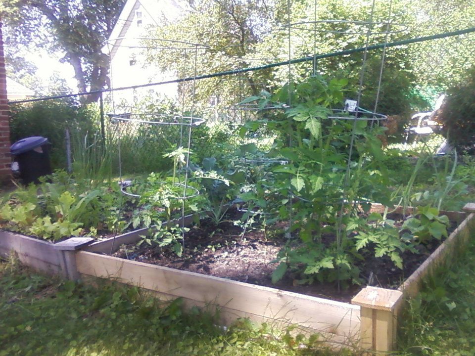 raised bed