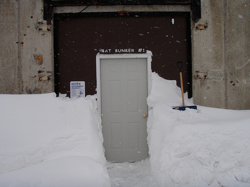 Entrance to the bat bunker in late March. Photo credit: USFWS/Steve Agius.