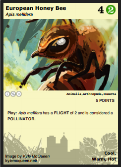 European Honey Bee card. Image credit: Phylogame.org