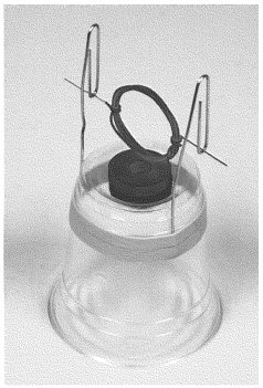 Build An Electric Motor at SciFun.org