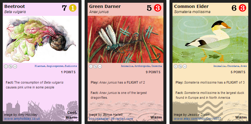 Sampling of individual Phylo cards. Image credit: Phylogame.org