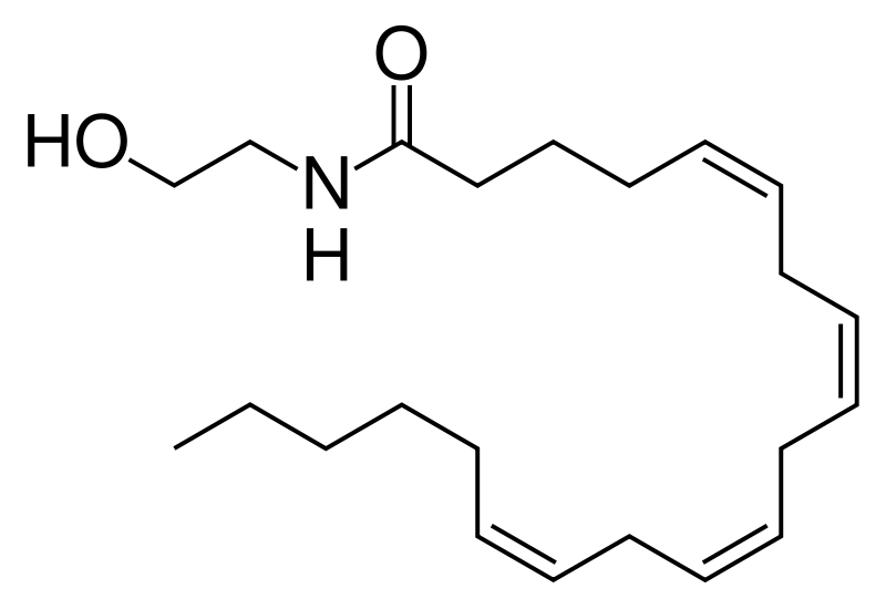 Anandamide structure