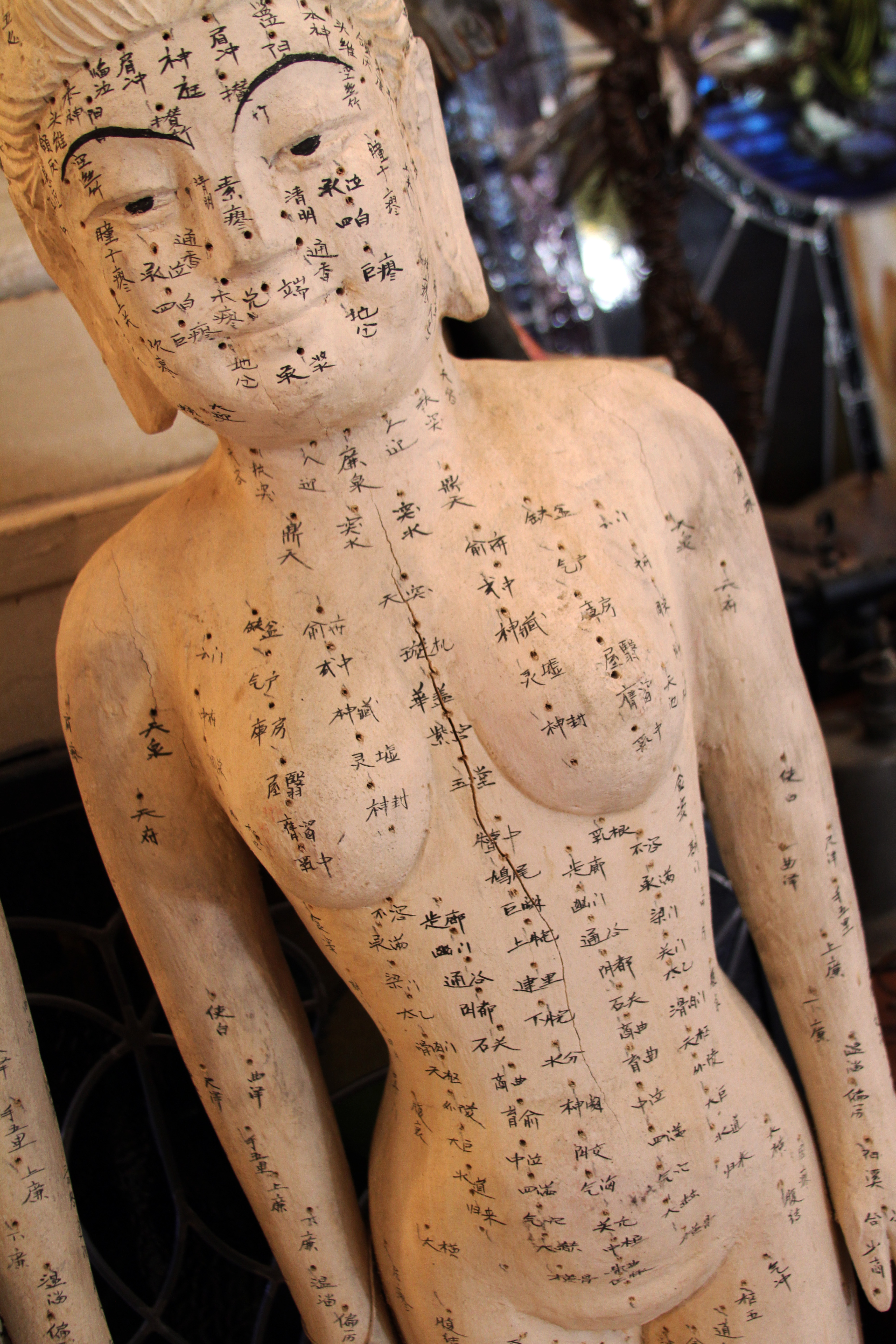 acupuncture dummy