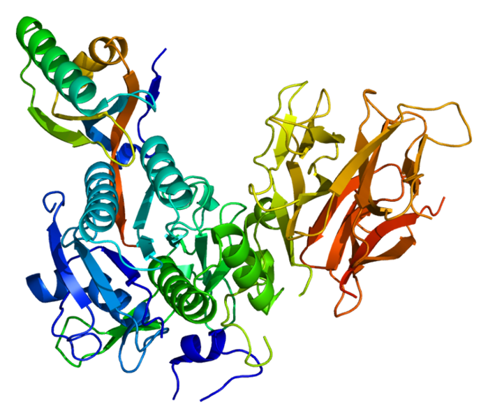 PCSK9 enzyme (Proprotein convertase subtilisin/kexin type 9