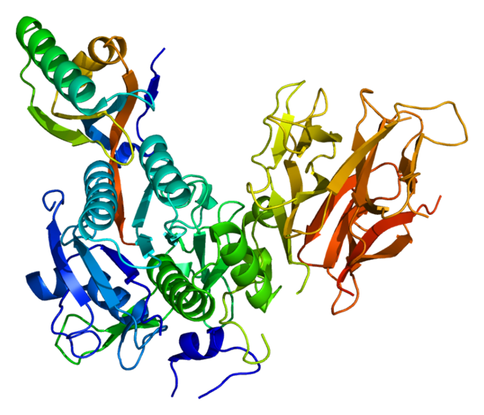 PCSK9 enzyme (Proprotein convertase subtilisin/kexin type 9