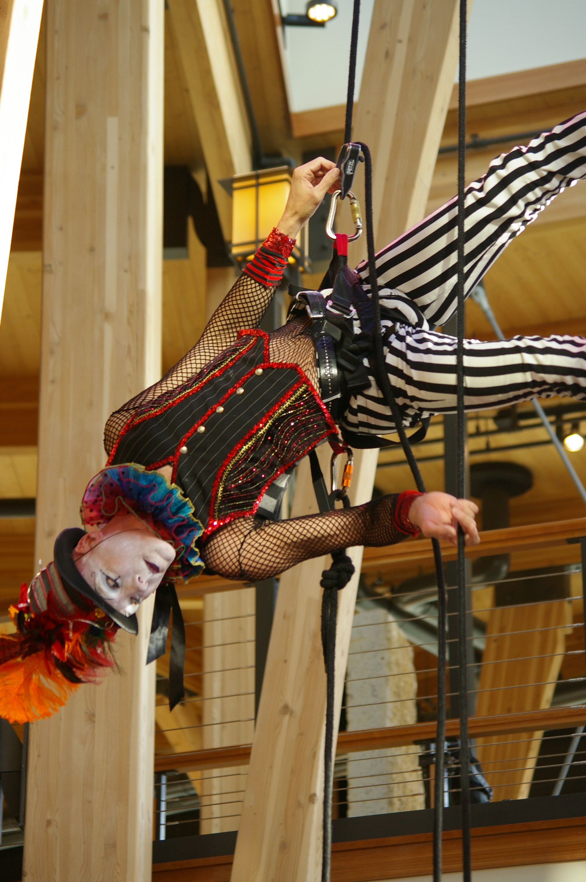 Cycropia Arial Dance performers grace the rafters of the new building.
