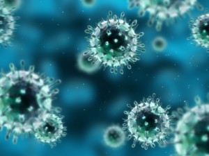 influenza viruses