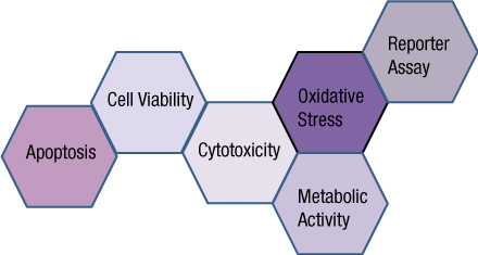 What information do you need about your cells to complete the picture?