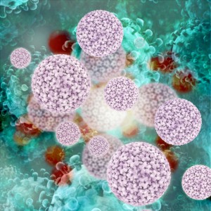 Papilloma virus