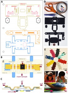 FIGURE 1: Foldscope design, components and usage. (A) CAD layout of Foldscope paper components on an A4 sheet. (B) Schematic of an assembled Foldscope illustrating panning, and (C) cross-sectional view illustrating flexure-based focusing. (D) Foldscope components and tools used in the assembly, including Foldscope paper components, ball lens, button-cell battery, surface-mounted LED, switch, copper tape and polymeric filters. (E) Different modalities assembled from colored paper stock. (F) Novice users demonstrating the technique for using the Foldscope. (G) Demonstration of the field-rugged design, such as stomping under foot.