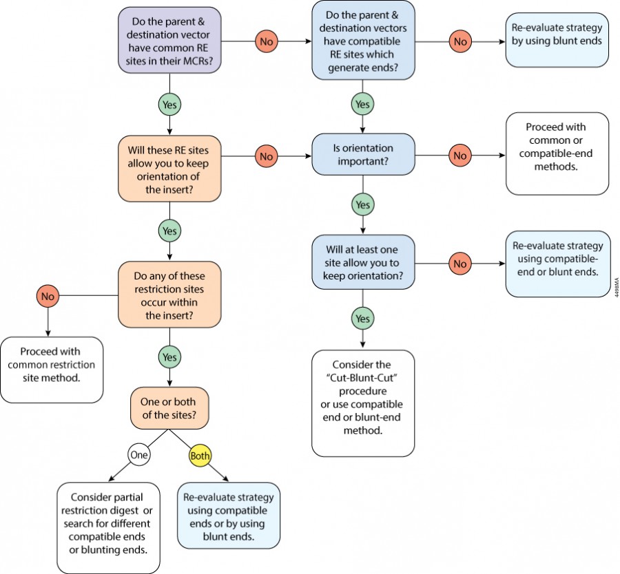 Promega Enzyme Buffer Chart