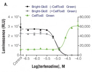 Response of HEK 293 cells stably expressing firefly luciferase from a constitutive promoter treated with varying concentrations of terfenadine. CellTox™ Green was added with the terfenadine treatment.  The graphs reveal the inverse concordance that is expected from the multiplex of the CellTox™ Green Cytotoxicity Assay (fluorescence, RFU) and the luciferase reporter assay (Bright-Glo™ Luciferase Assay; luminescence, RLU ). Luminescent signal declines as cells die and produce less protein. Fluorescent signal rises as the cell membrane becomes compromised, allowing the CellTox™ Green Dye to bind to the DNA.  