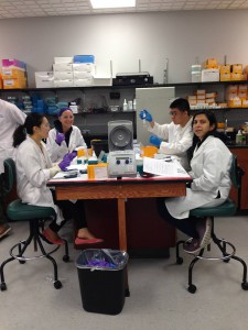 Students in the Core Techniques in Protein and  Genetic Engineering Course (photo credit BTCI)