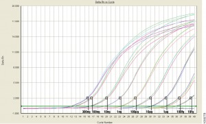 Real-Time (or quantitative, qPCR) monitors PCR amplification as it happens and allows you to measure starting material in your reaction.