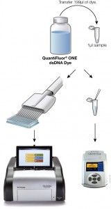 QuantiFluor® ONE dsDNA Dye is an add-and-read fluorescent dye for quantitating DNA.