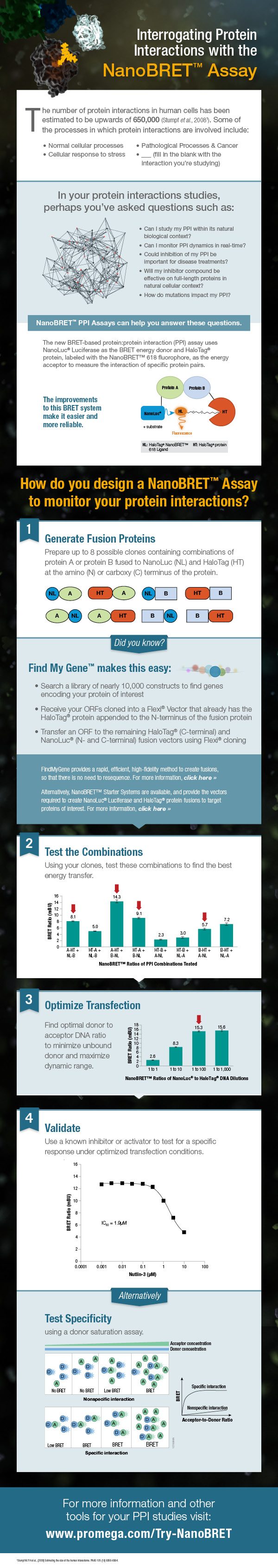 21421668-IG-CR-NanoBRET-Infographic-Final