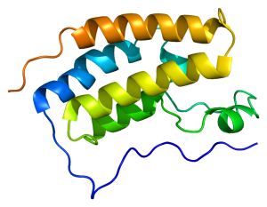 "Protein BRD4 PDB 2oss" by Emw - Own work. Licensed under CC BY-SA 3.0 via Wikimedia Commons - https://commons.wikimedia.org/wiki/File:Protein_BRD4_PDB_2oss.png#/media/File:Protein_BRD4_PDB_2oss.png