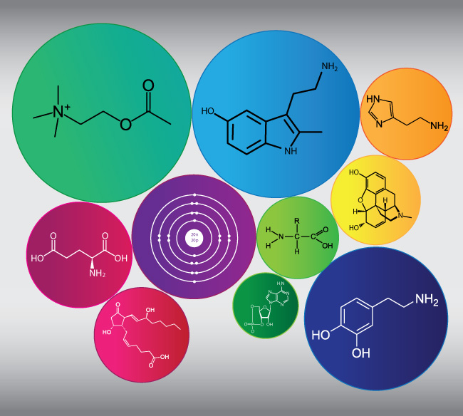 GPCR-Top10-graph