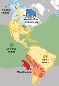  Geographic ranges of potential source taxa for the 1951 ECAD meat supposedly discovered on Akutan Island, AK, USA. Ranges are overlaid on a map of modern North and South America. Colored circles represent fossil localities: blue, woolly mammoth (Mammuthus primigenius); red, Megatherium; yellow, non-Megatherium fossil sloths. Green area represents modern range of green sea turtle (Chelonia mydas). Fossil specimen locality data were obtained from FAUNMAP II [51] and the Paleobiology Database (www.paleobiodb.org). The green sea turtle (C. mydas) range follows [25].