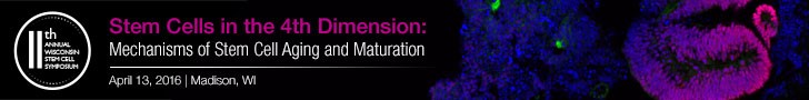 Image courtesy of Carlos Marti-Figueroa, Wisconsin Institute for Discovery, University of Wisconsin, Madison