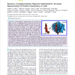 For the details about the NanoBiT™ Assay. This ACS Chemical Biology paper is the source,