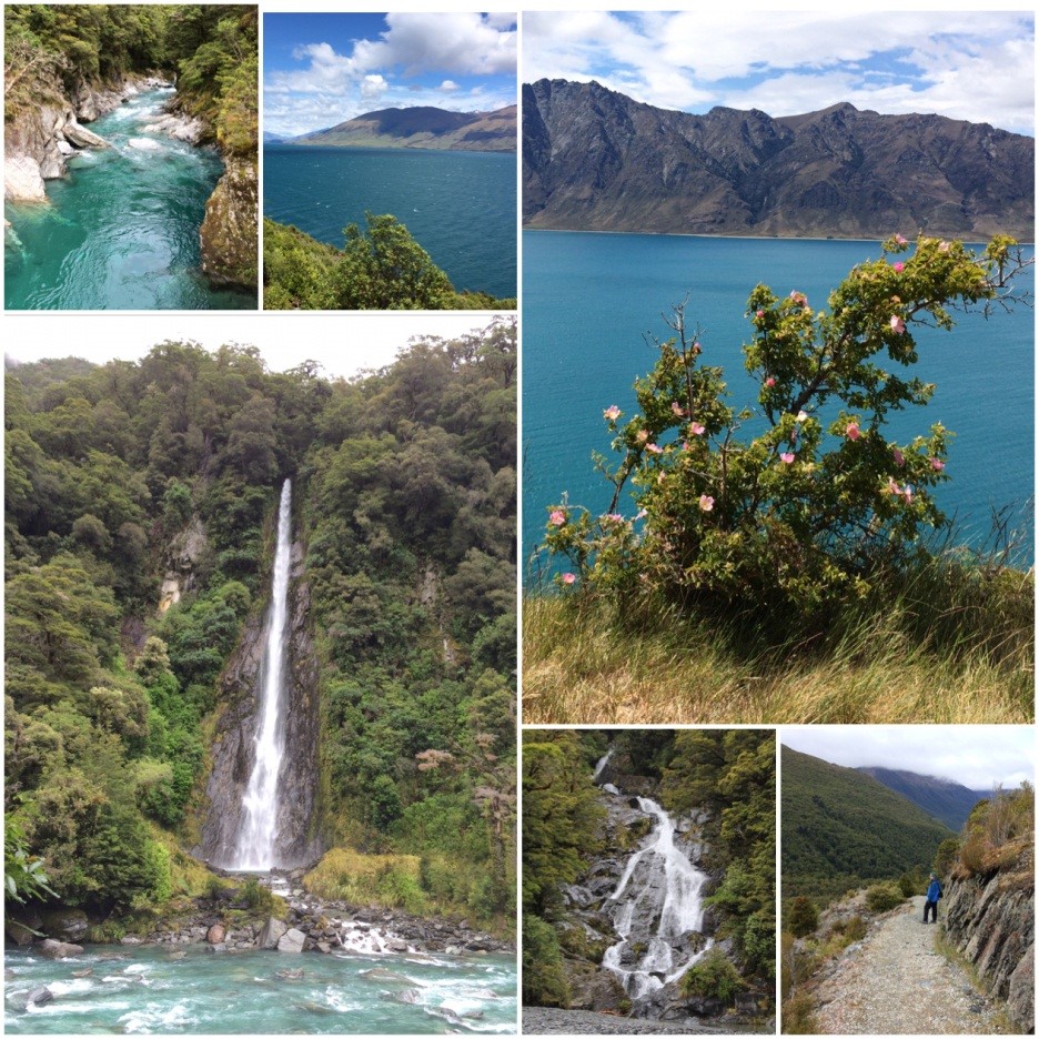 New Zealand5