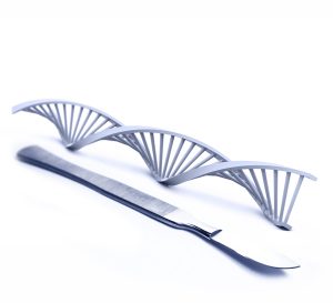 27850283-June-13-CRISPR-image-WEB