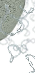 12150558-plasmid_with_cell_membrane3