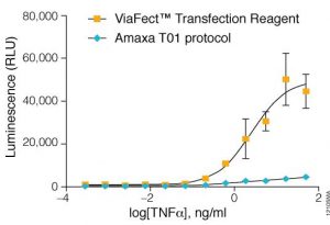  Figure 1. ViaFect™ Transfection Reagent enables an assay for cytokine signaling in a hematopoietic cell model. TF-1 suspension cells were transiently transfected with pGL4.32[luc2P/NF-κB-RE/Hygro] Vector, an NF-κB response element luciferase reporter, using either ViaFect™ Transfection Reagent at a 2:1 reagent:DNA ratio or Amaxa Nucleofector® II (electroporation). The following day cells were stimulated with TNFα for 6 hours, and the response was measured with Bio-Glo™ Luciferase Reagent.