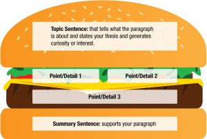 The "hamburger" scheme for organizing a paragraph.