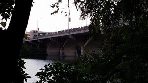 Crowds gather on the Congress Ave Bridge in Austin, TX to see the bat colonly.