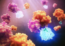 3D artistic rendering of a NanoBiT assay, the system used in this study for detection of mycotoxins in food