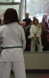 karate girl in mirror