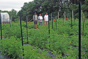 The Promega Culinary Garden